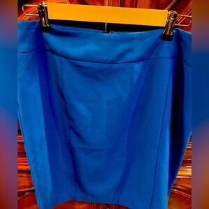 Mew York and Company Skirt